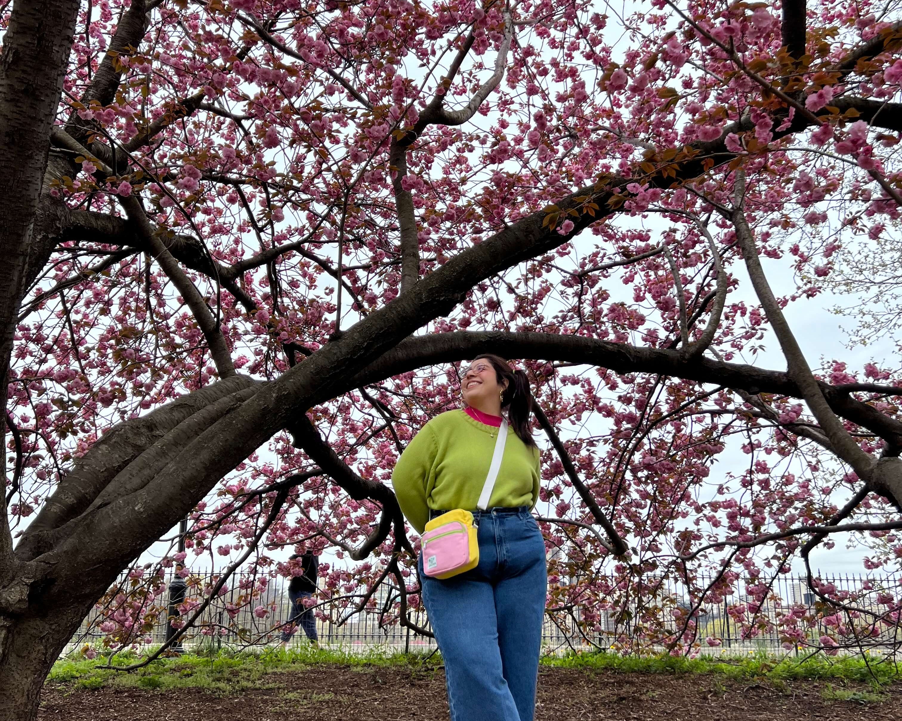 Shiny by Nature Endowed a Cherry Tree in Central Park!